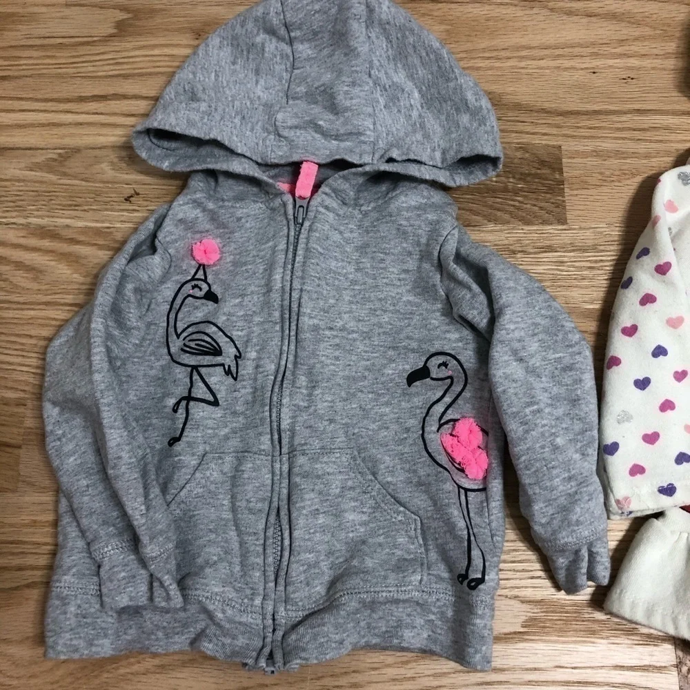 18 Month Girls Bundle Disney Princess Outfit Sweatshirt Flamingo